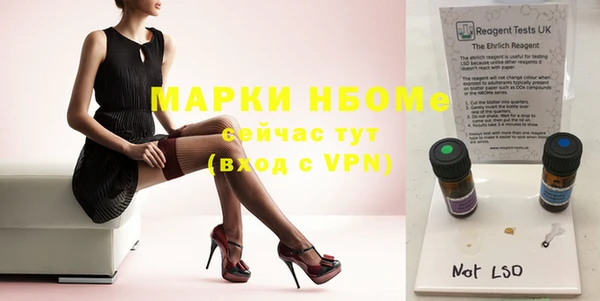 индика Алзамай