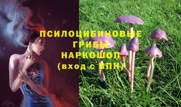 ECSTASY Алексин