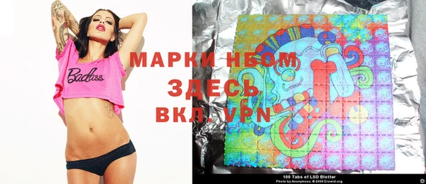 индика Алзамай
