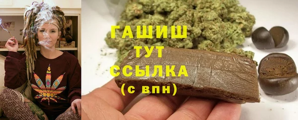 индика Алзамай