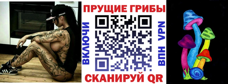 где купить   Сосновоборск  Псилоцибиновые грибы прущие грибы 